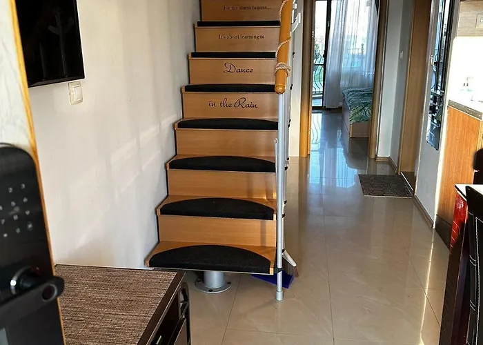 Dari Garden градина